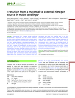 Transition from a maternal to external nitrogen source in maize seedlings
