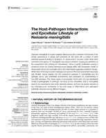 The Host-Pathogen Interactions and Epicellular Lifestyle of Neisseria meningitidis