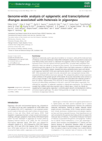 Genome‐wide analysis of epigenetic and transcriptional changes associated with heterosis in pigeonpea