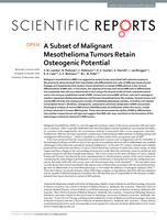 A subset of malignant mesothelioma tumors retain osteogenic potential