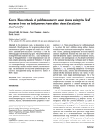 Green biosynthesis of gold nanometre scale plates using the leaf extracts from an indigenous Australian plant Eucalyptus macrocarpa