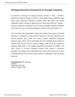 Chickpea genomics consortium on drought tolerance