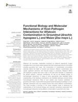Functional biology and molecular mechanisms of Host-Pathogen interactions for Aflatoxin contamination in Groundnut (Arachis hypogaea L.) and Maize (Zea mays L.)