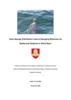 Does sponge distribution lead to sponging behaviour by bottlenose dolphins in Shark Bay?