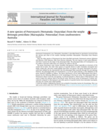 A new species of Potoroxyuris (Nematoda: Oxyuridae) from the woylie Bettongia penicillata (Marsupialia: Potoroidae) from southwestern Australia