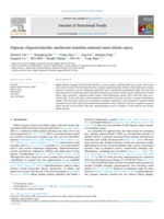 Alginate oligosaccharides ameliorate busulfan-induced renal tubule injury
