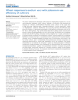 Wheat responses to sodium vary with potassium use efficiency of cultivars