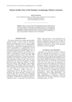 Marine benthic flora of the Dampier Archipelago, Western Australia