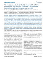 Ribonuclease activity of Dis3 is required for mitotic progression and provides a possible link between heterochromatin and kinetochore function