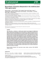 Biosynthesis of bioactive diterpenoids in the medicinal plant Vitex agnus‐castus