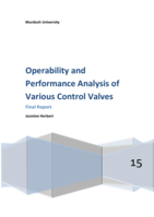 Operability and performance analysis of various control valves