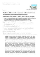 Outbreak of Phoracantha semipunctata in response to severe drought in a Mediterranean Eucalyptus forest