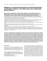Megabase level sequencing reveals contrasted organization and evolution patterns of the wheat gene and transposable element spaces