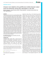 Amazon river dolphins ( Inia geoffrensis ) modify biosonar output level and directivity during prey interception in the wild