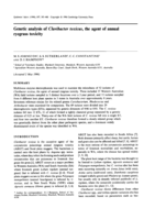 Genetic analysis of Clavibacter toxicus, the agent of annual ryegrass toxicity