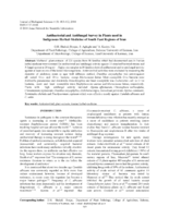 Antibacterial and antifungal survey in plants used in indigenous herbal-medicine of south east regions of Iran