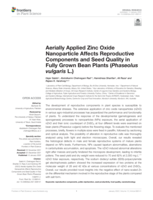 Aerially applied zinc oxide nanoparticle affects reproductive components and seed quality in fully grown bean plants ( Phaseolus vulgaris L.)