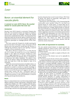 Boron: An essential element for vascular plants
