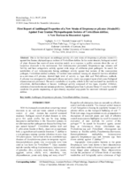 First report of antifungal properties of a new strain of Streptomyces plicatus (Strain101) against four Iranian phytopathogenic isolates of Verticillium dahliae, a new horizon in biocontrol agents