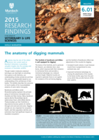 The anatomy of digging mammals