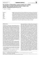 Re-evaluation of Phytophthora citricola isolates from multiple woody hosts in Europe and North America reveals a new species, Phytophthora plurivora sp. nov.