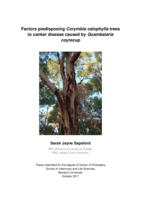 Factors predisposing Corymbia calophylla trees to canker disease caused by Quambalaria coyrecup