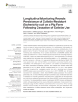 Longitudinal monitoring reveals persistence of Colistin-Resistant Escherichia coli on a pig farm following cessation of colistin use