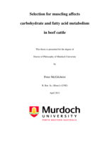 Selection for muscling affects carbohydrate and fatty acid metabolism in beef cattle