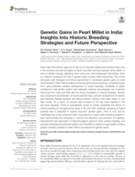 Genetic gains in Pearl Millet in India: Insights into historic breeding strategies and future perspective