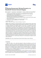 Exploring Streamwater Mixing Dynamics via Handheld Thermal Infrared Imagery