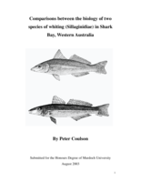 Comparisons between the biology of two species of whiting (Sillaginidae) in Shark Bay, Western Australia