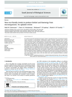 New eco-friendly trends to produce biofuel and bioenergy from microorganisms: An updated review