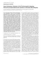 Gene expression analysis of the corticotrophin-releasing Hormone-proopiomelanocortin system in psoriasis skin biopsies