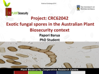 Exotic fungal spores in the Australian Plant Biosecurity context