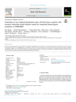 Generation of two induced pluripotent stem cell lines from a patient with recessive inherited retinal disease caused by compound heterozygous mutations in SNRNP200