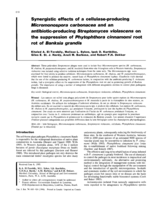Synergistic effects of a cellulase-producing Micromonospora carbonacea and an antibiotic-producing Streptomyces violascens on the suppression of Phytophthora cinnamomi root rot of Banksia grandis
