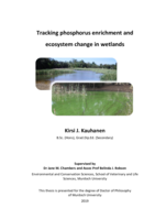 Tracking phosphorus enrichment and ecosystem change in wetlands