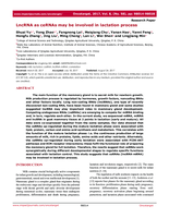 LncRNA as ceRNAs may be involved in lactation process