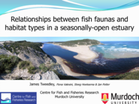 Inter-relations between fish faunas and habitat types in a seasonally-open estuary in south-western Australia