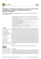 Phosphorus and potassium application improves fodder yield and quality of sorghum in Aridisol under diverse climatic conditions