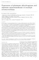 Expression of glutamate dehydrogenase and aspartate aminotransferase in eucalypt ectomycorrhizas