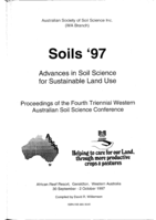 Use of the macro model to predict effective leaching of chloride by rainfall in a degraded duplex soil profile