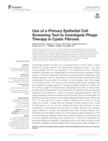 Use of a primary epithelial cell screening tool to investigate phage therapy in cystic fibrosis