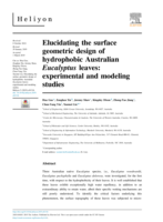 Elucidating the surface geometric design of hydrophobic Australian Eucalyptus leaves: Experimental and modeling studies