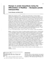Changes in protein biosynthesis during the differentiation of Pisolithus - Eucalyptus grandis ectomycorrhiza