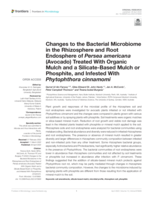 Changes to the bacterial microbiome in the rhizosphere and root Endosphere of Persea americana (Avocado) treated with organic mulch and a Silicate-Based mulch or phosphite, and infested with Phytophthora cinnamomi