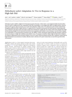 Helicobacter pylori adaptation in vivoin response to a high salt diet