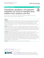 Carbohydrate, glutathione, and polyamine metabolism are central to Aspergillus flavus oxidative stress responses over time