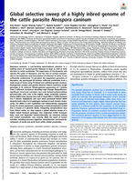 Global selective sweep of a highly inbred genome of the cattle parasite Neospora caninum
