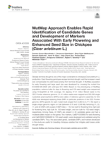 MutMap approach enables rapid identification of candidate genes and development of markers associated with early flowering and enhanced seed size in chickpea (Cicer arietinum L.)